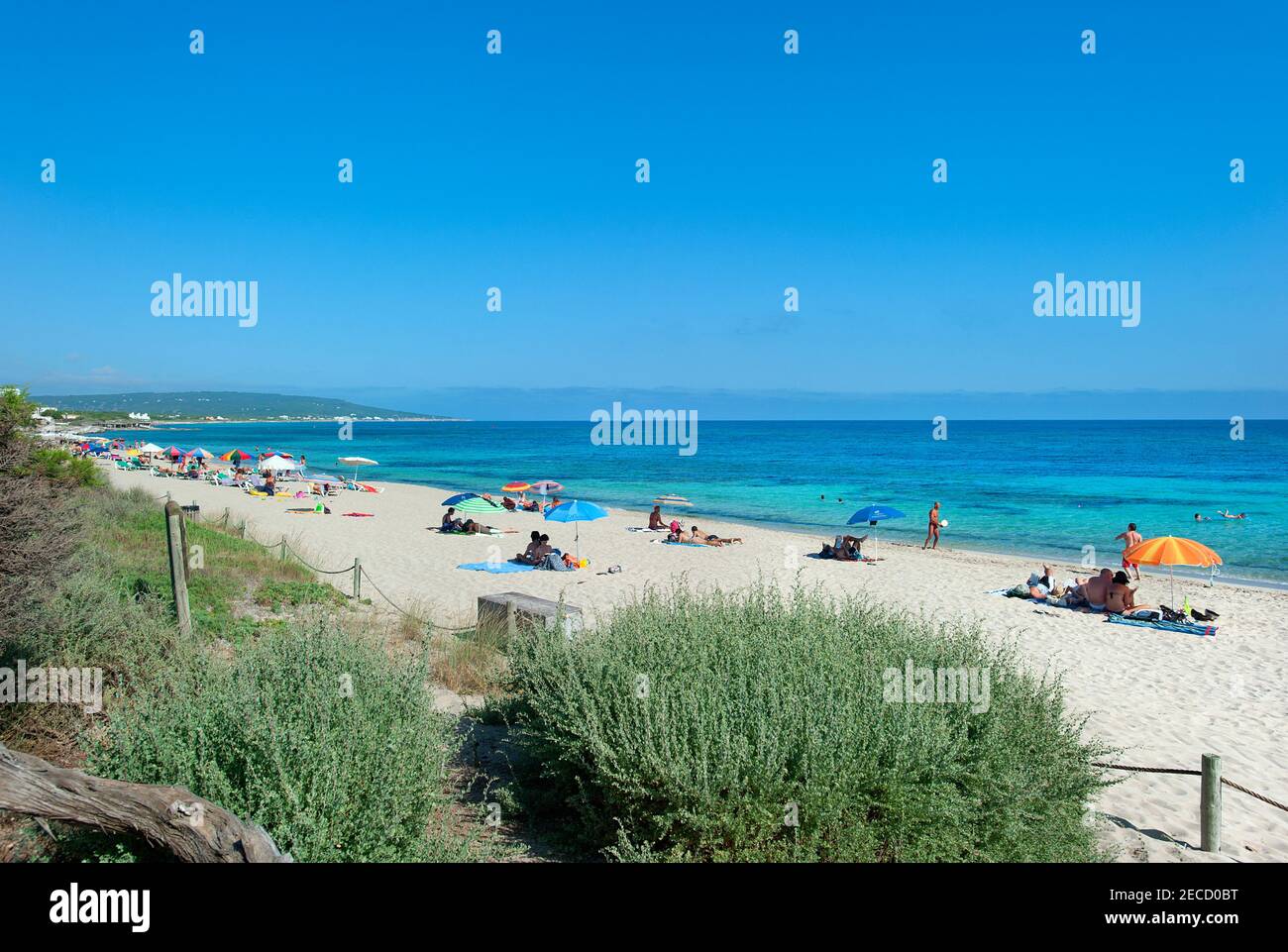 Spiaggia di Playa Mitjorn, Formentera, Baleari, Spagna Foto Stock