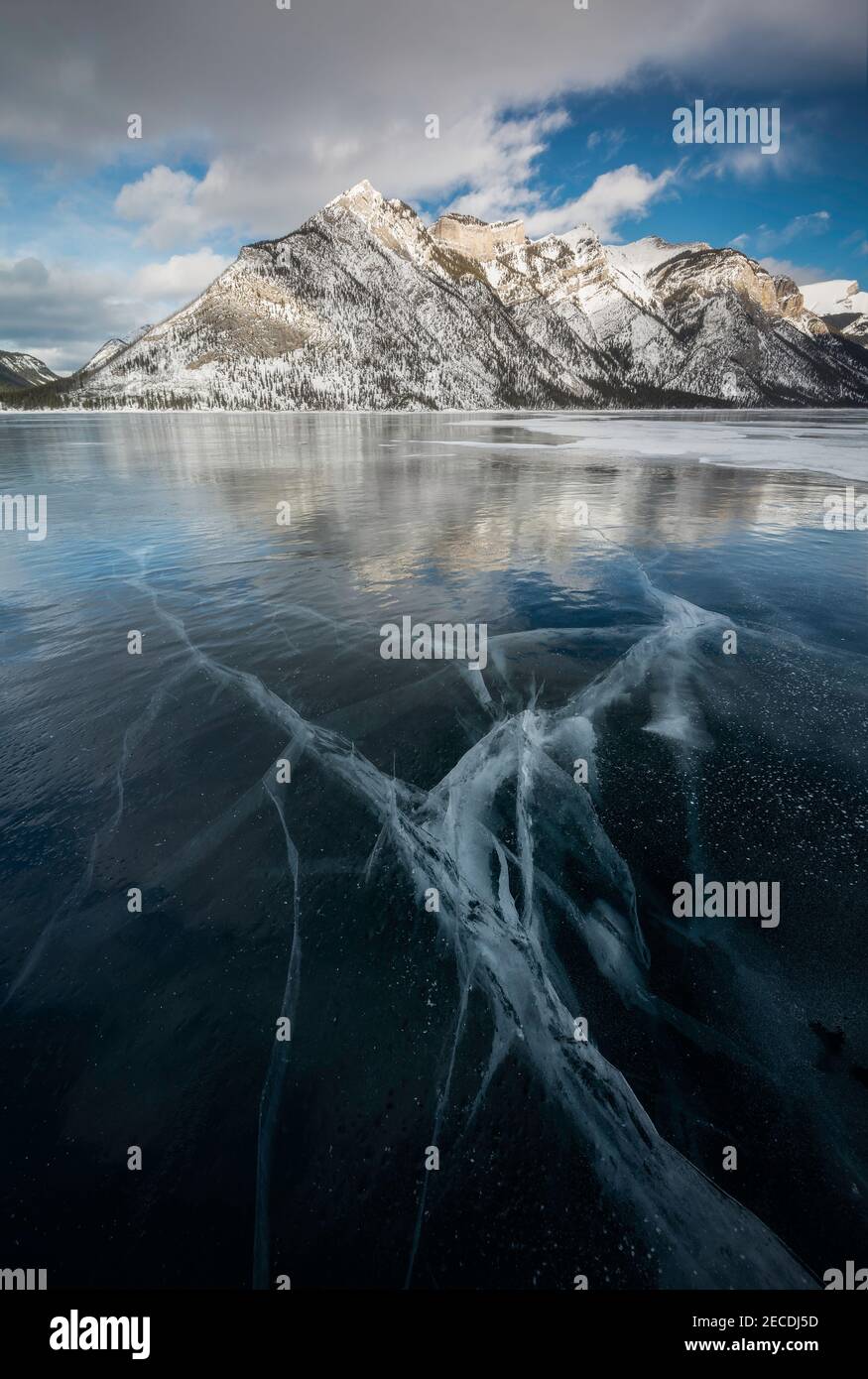 Nel pomeriggio di gennaio si sono formate delle fessure di ghiaccio a forma di fulmine sul lago ghiacciato Minnewanka nel Parco Nazionale di Banff. Foto Stock