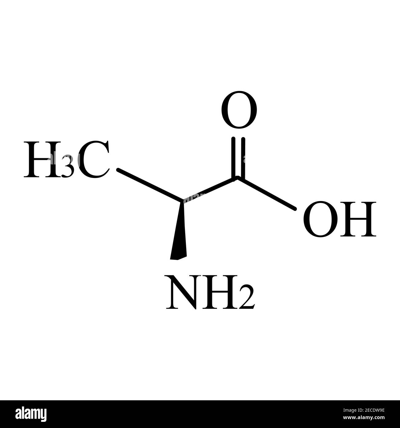 L'alanina è un amminoacido. Formula chimica molecolare alanina aminoacido. Illustrazione vettoriale su sfondo isolato Illustrazione Vettoriale