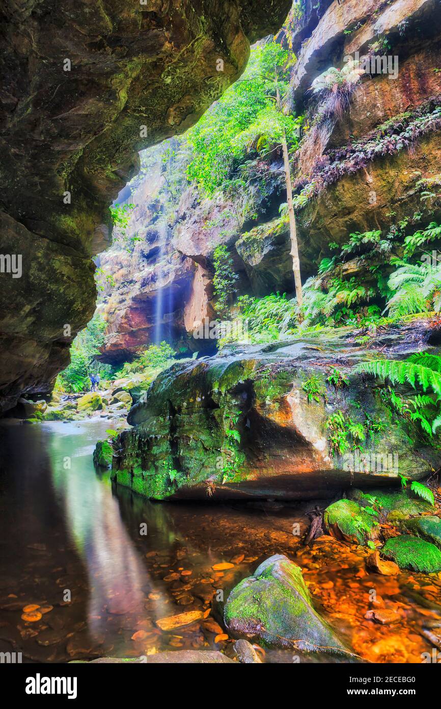 Fondo del Grand Canyon passeggiata panoramica natura in Blue Mountains of Australia al largo di Blackheath città - maestoso profondo torrente con cascate. Foto Stock