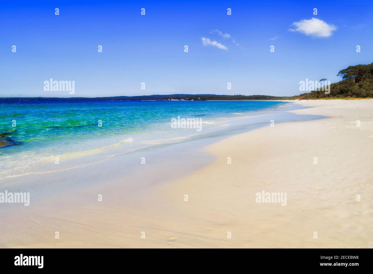Immacolata sabbia bianca della spiaggia di Hyams nella zona della baia di Jervis dell'Australia - dune di sabbia lungo la costa del Pacifico. Foto Stock