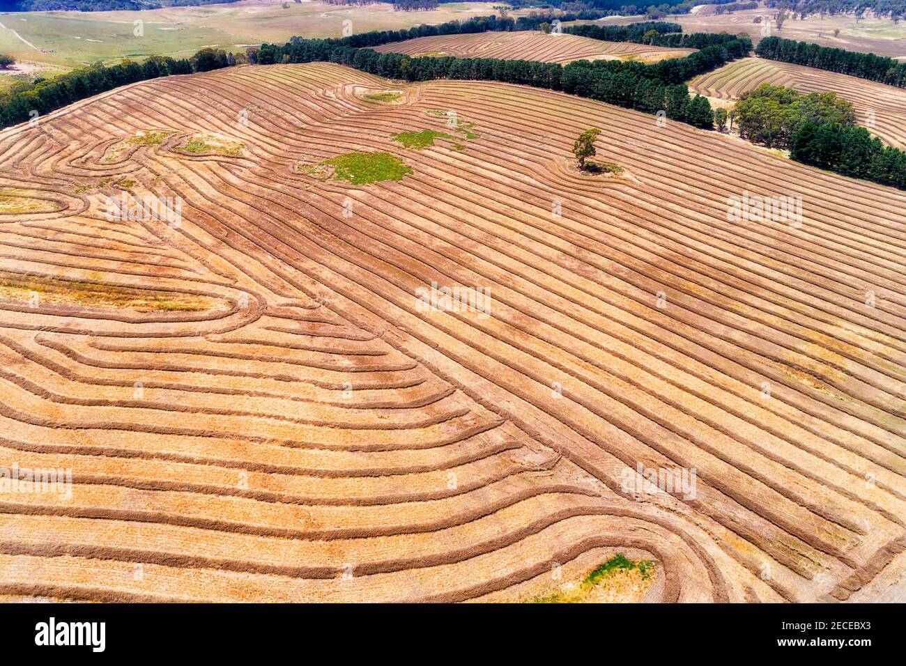 Terreni agricoli raccolti con linee di paglia sui lati di collina di Mayfield vicino Oberon città di Central tablelands, Australia. Vista aerea dell'agricoltura. Foto Stock