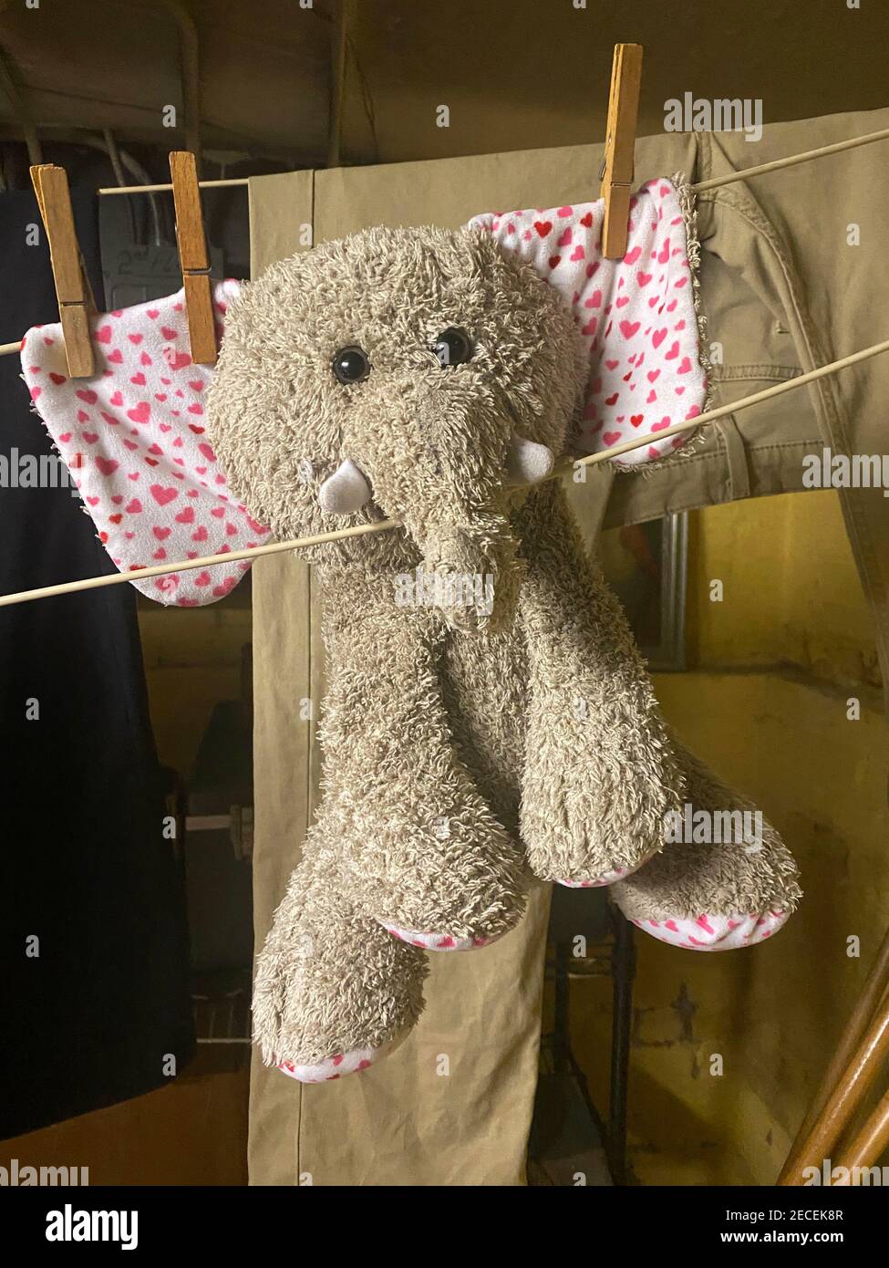 Elefante del bambino appena lavato appeso sulla clothesline. Foto Stock