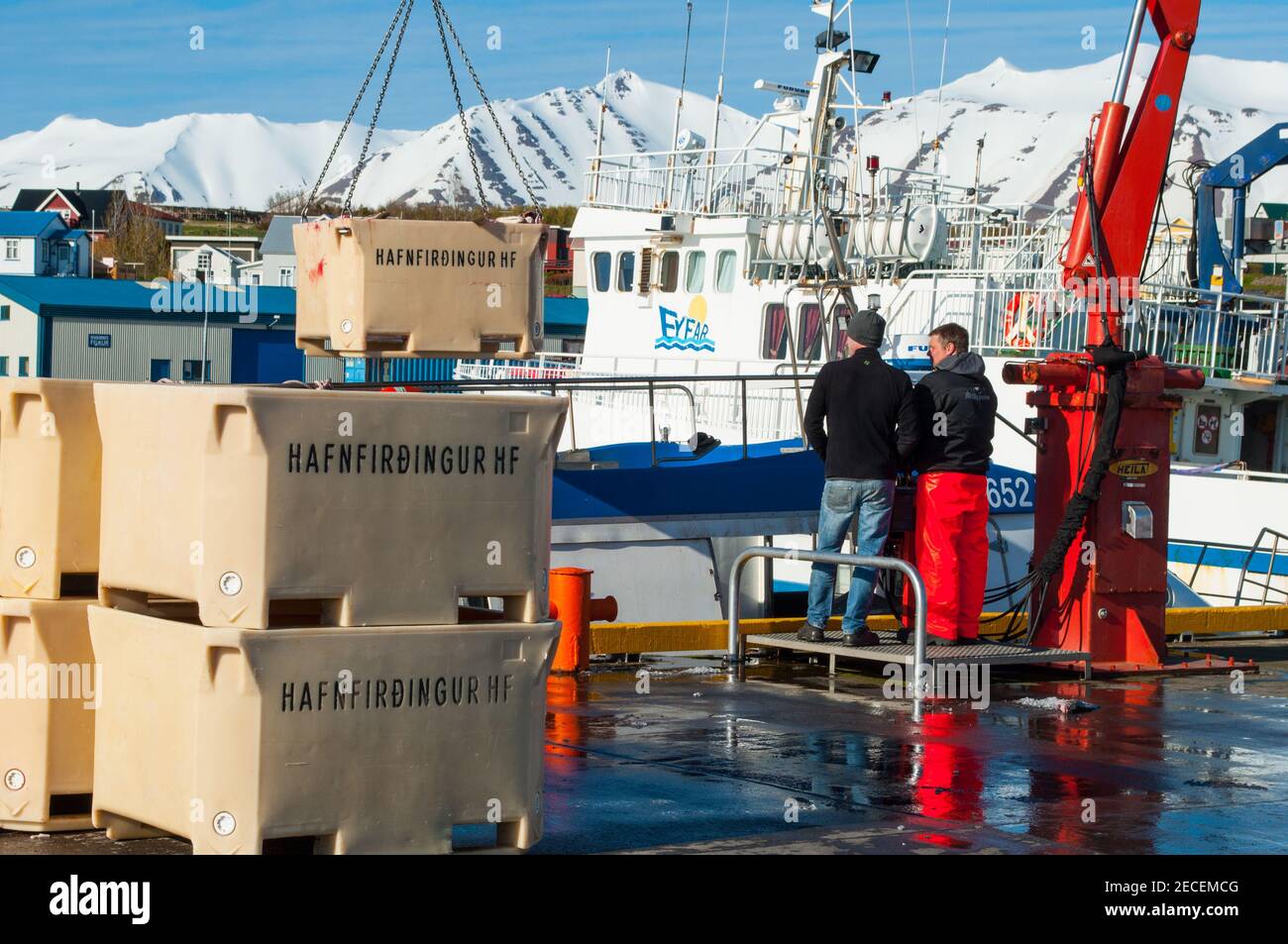 Hrisey Islanda - Giugno 14. 2015: pescatori che usano una gru per sollevare scatole con pesce al molo Foto Stock