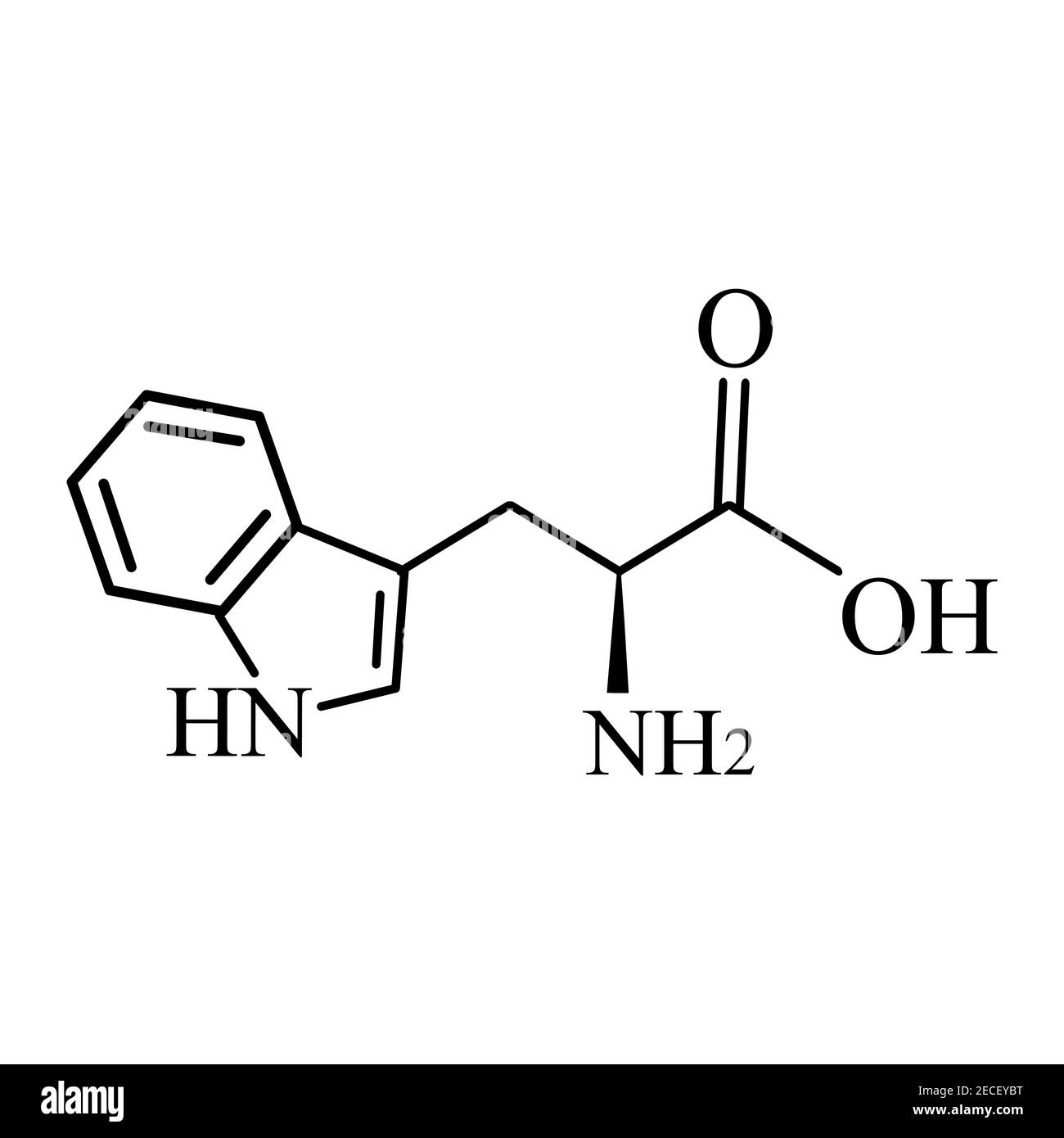 Aminoacido triptofano. Formula molecolare chimica dell'amminoacido  triptofano. Illustrazione vettoriale su sfondo isolato Immagine e  Vettoriale - Alamy