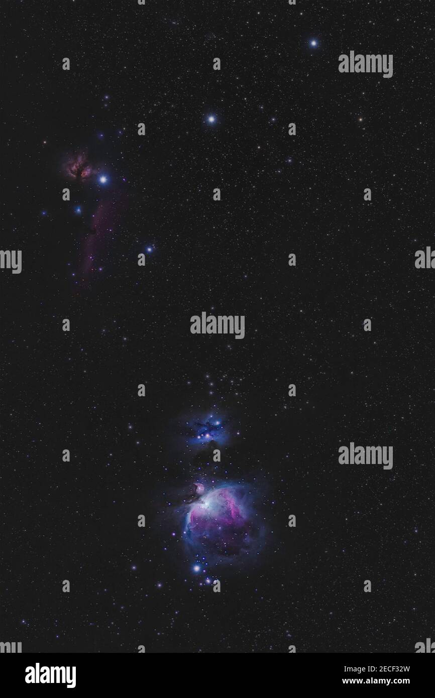 Vista completa di alta qualità della nebulosa Orion, Flame e Horsehead Foto Stock