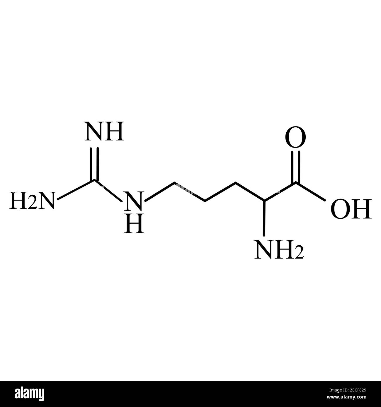 Amminoacido di arginina. Formula molecolare chimica amminoacido arginina. Illustrazione vettoriale su sfondo isolato Illustrazione Vettoriale
