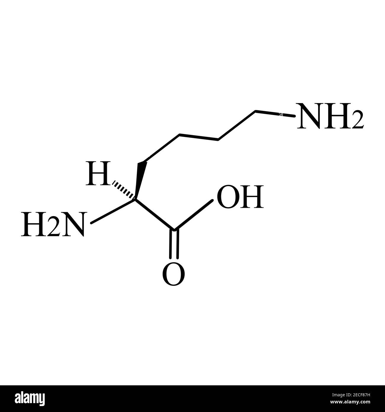 Aminoacido lisina. Formula chimica molecolare la lisina è un amminoacido. Illustrazione vettoriale su sfondo isolato Illustrazione Vettoriale