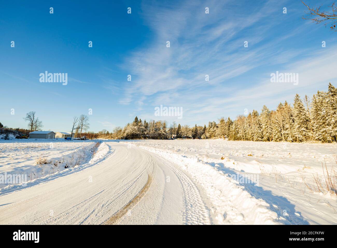 Splendida vista sul paesaggio invernale. Strada di campagna nella foresta di neve. Bella natura sfondo invernale. Svezia. Foto Stock