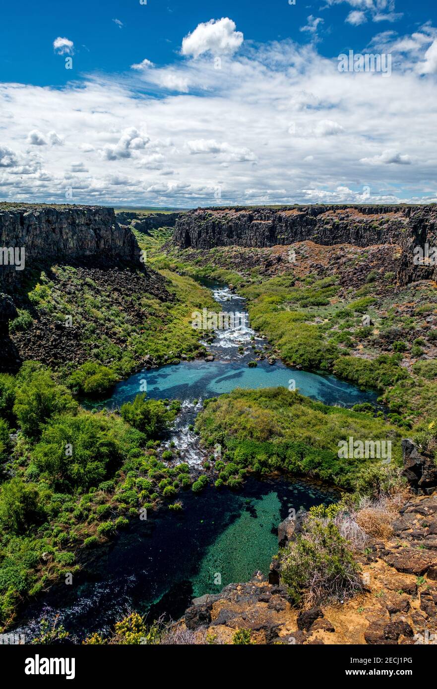 La riserva naturale Earl Hardy Box Canyon Spings è una delle unità del Thousand Springs state Park dell'Idaho. L'undicesimo più grande in Nord America, acqua Foto Stock