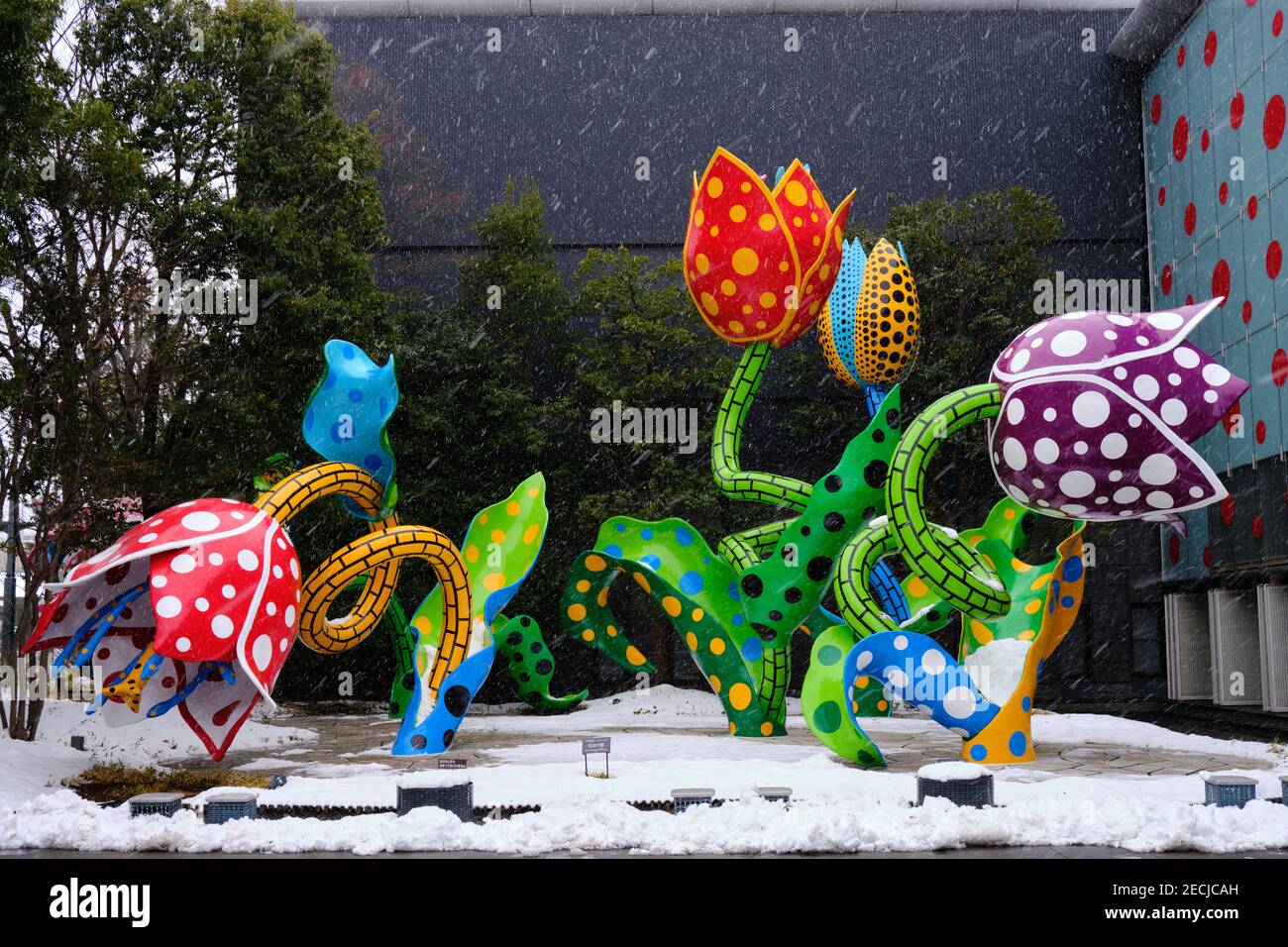 Polka dot flowers scultura di Yayoi Kusama, presso il museo della città con il suo lavoro a Matsumoto durante una tempesta di neve Foto Stock