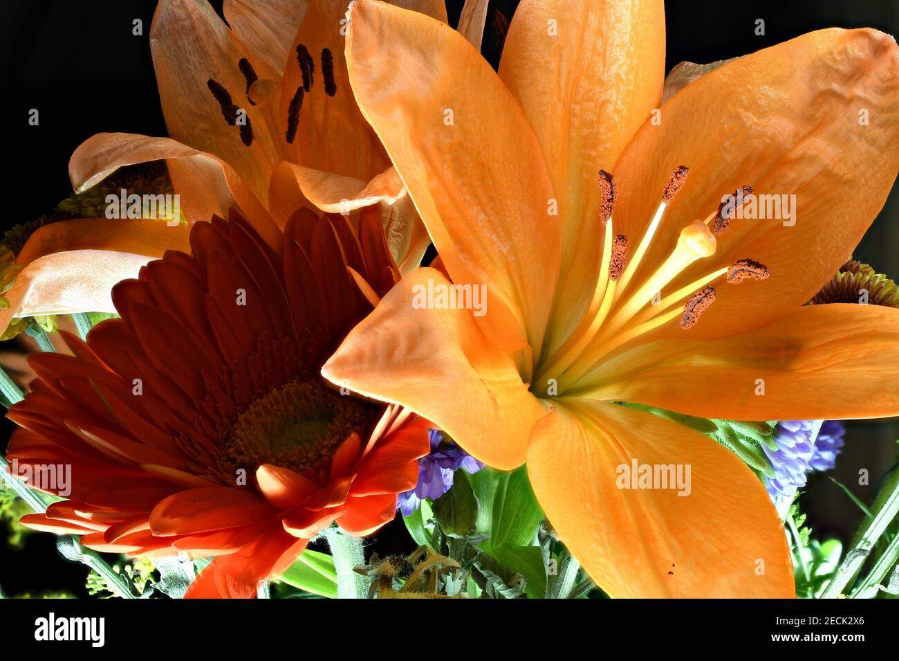 Orange Lily Bouquet fotografato in studio con una Nikon D850 Foto Stock
