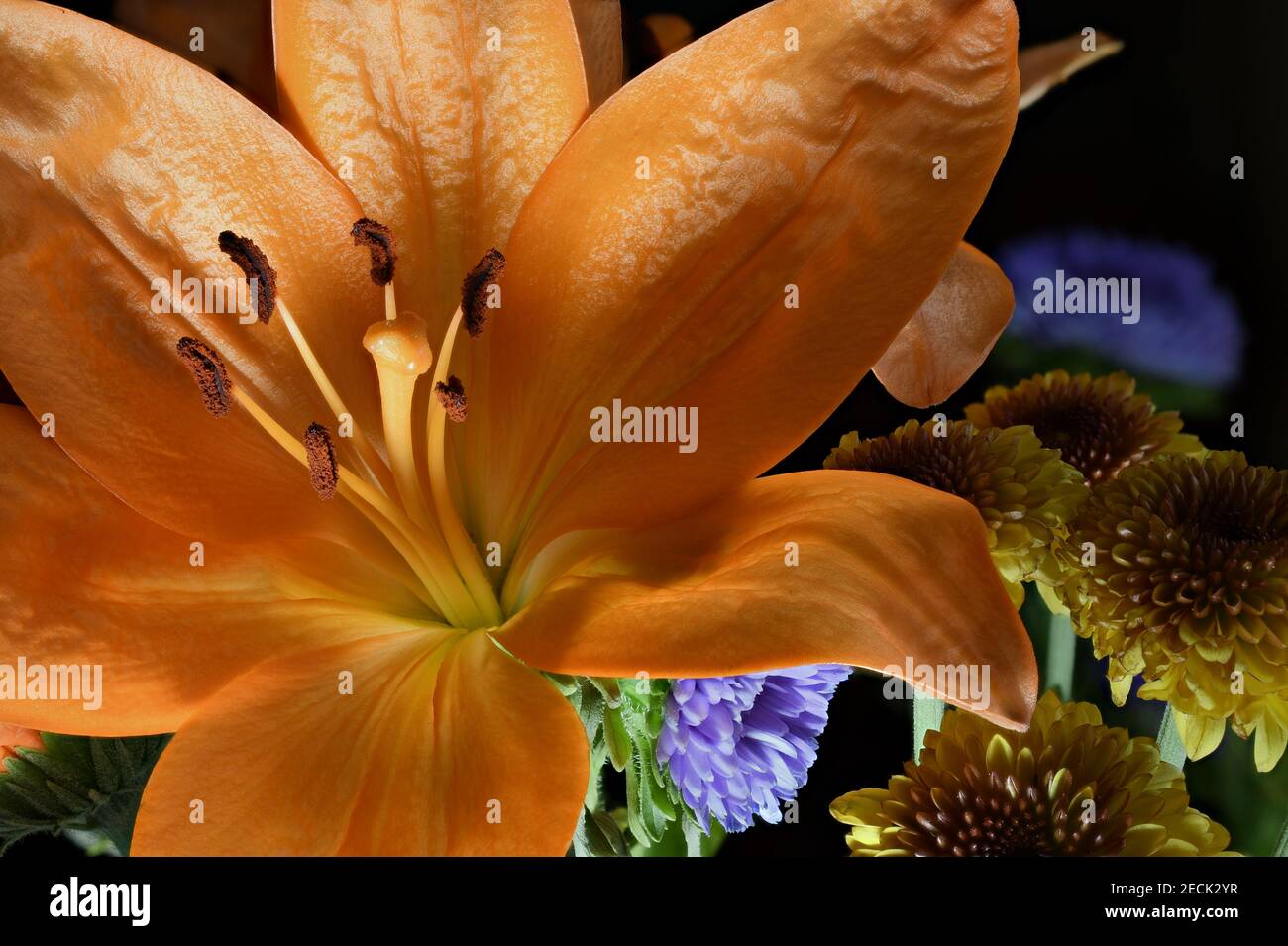 Orange Lily Bouquet fotografato in studio con una Nikon D850 Foto Stock