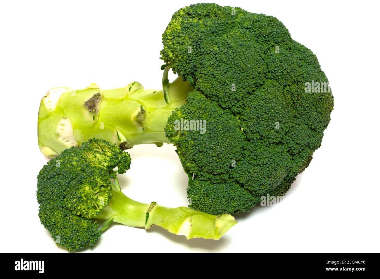Elemento di progettazione per collage. Verdure di broccoli di buah grandi isolate su sfondo bianco. Stile di vita sano. Foto Stock