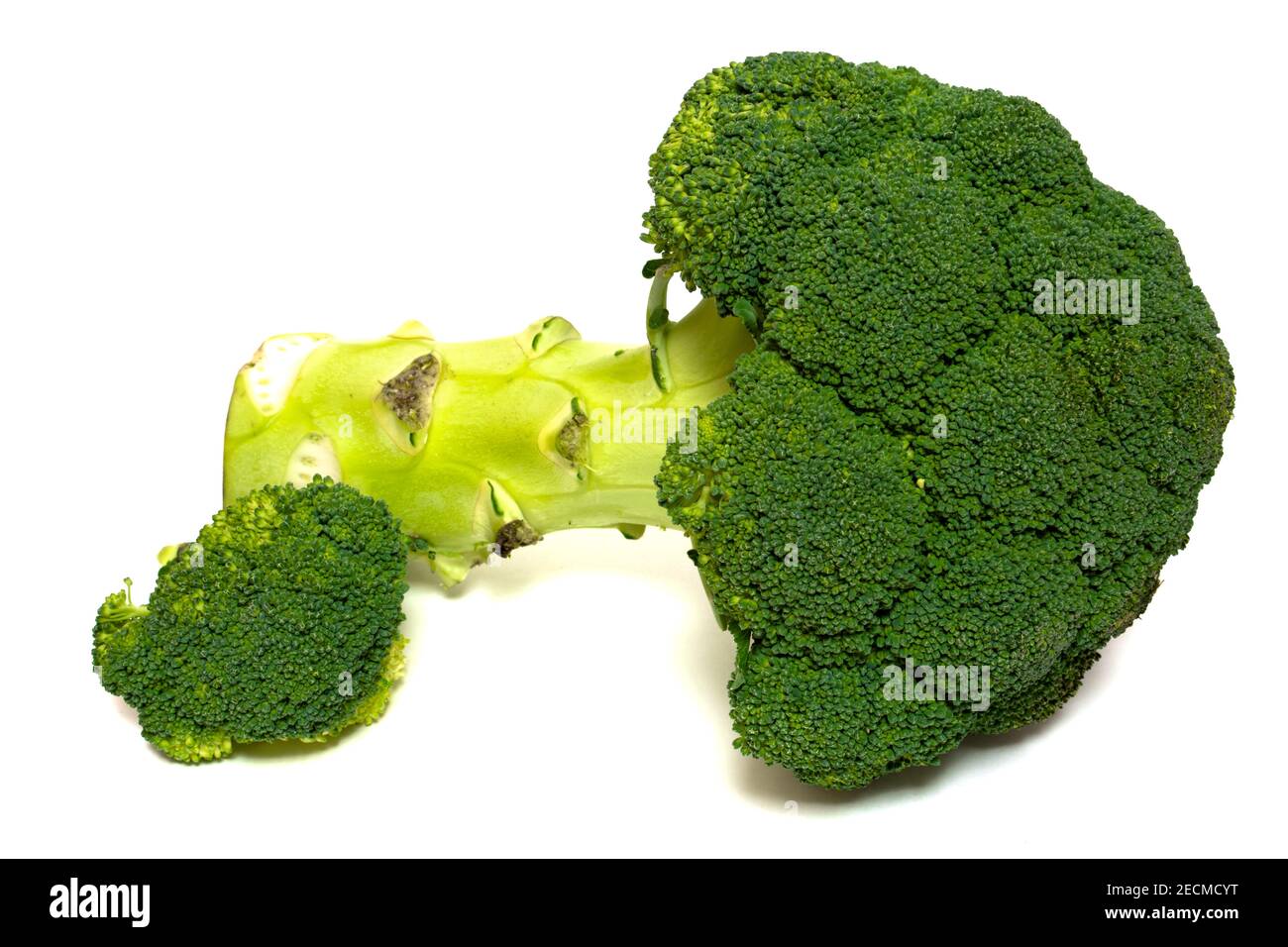 Elemento di progettazione per collage. Stile di vita sano. Verdure di broccoli di buah grandi isolate su sfondo bianco Foto Stock