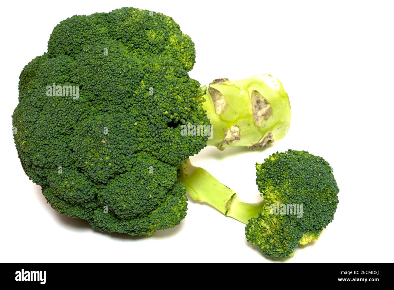 Stile di vita sano. Verdure di broccoli di buah grandi isolate su sfondo bianco. Elemento di progettazione per collage Foto Stock