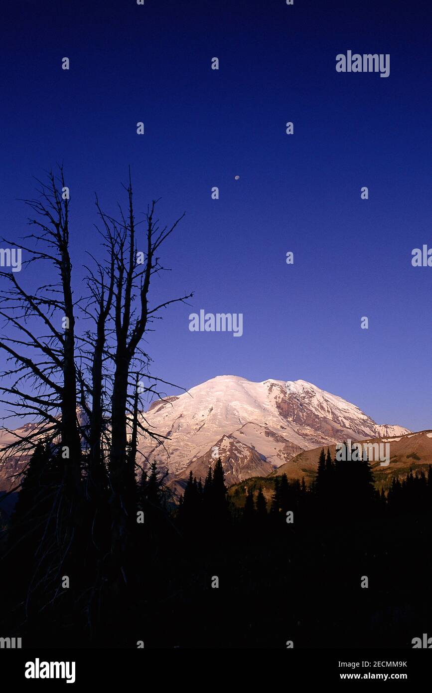 Monte Ranier coperto di neve, Mount Ranier National Park, Washington, Stati Uniti Foto Stock