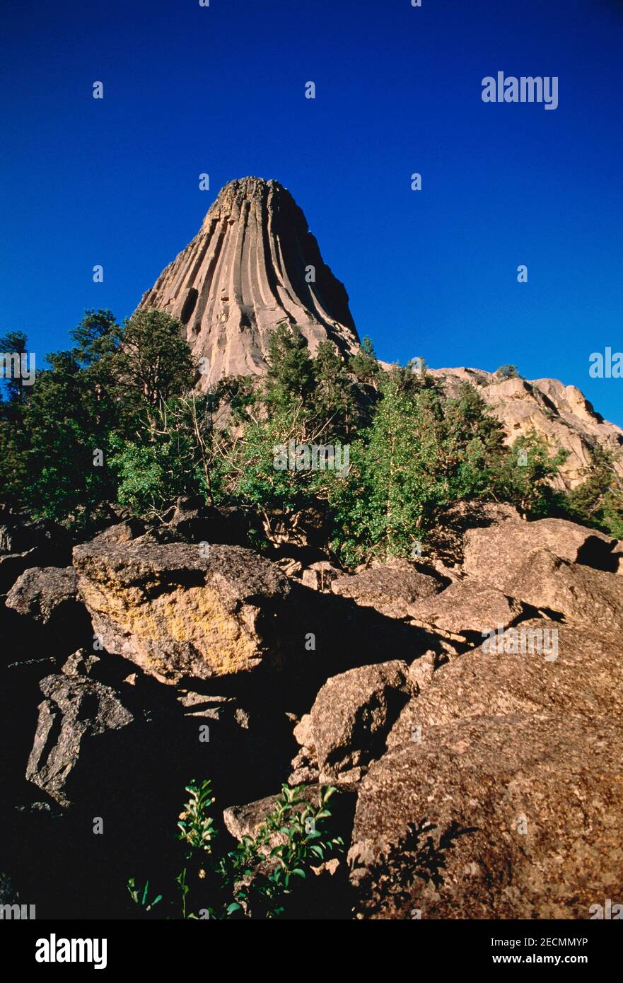 Devil's Tower monumento nazionale, Wyoming USA Foto Stock