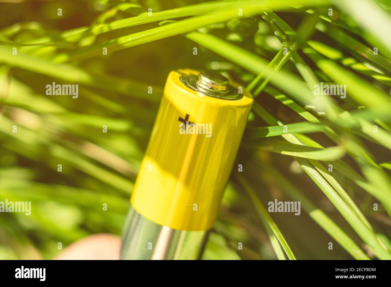 concetto di energia ecologica. primo piano della batteria. Foto Stock