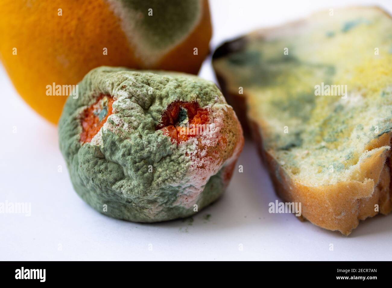 Vecchi prodotti rovinati su uno sfondo bianco. Frutta rovinata e messa a fuoco a bread.selective°. Messa a fuoco morbida. Foto Stock