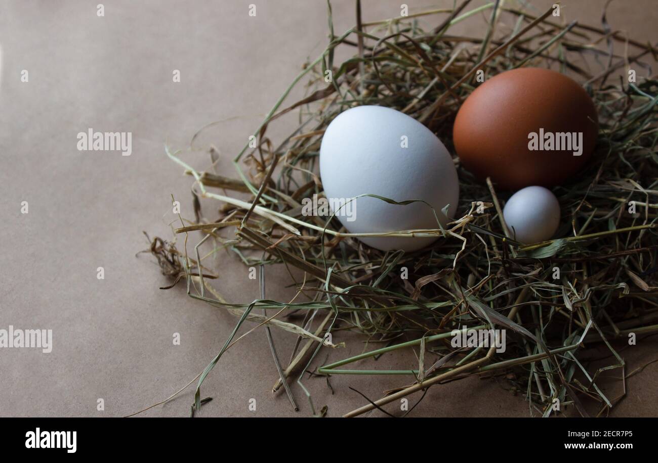 uova grandi e piccole in un nido su sfondo marrone. Concetto di Pasqua. Foto Stock