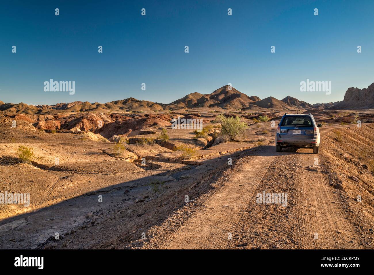 SUV, Railroad Canyon Road, Picacho state Recreation Area, Sonoran Desert, vicino a Yuma, California, Stati Uniti Foto Stock