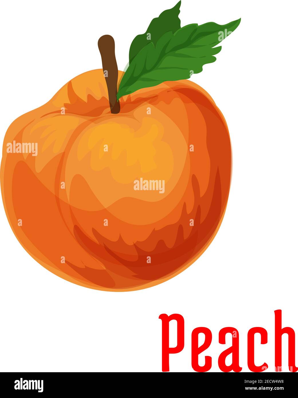 Icona di frutta fresca di pesca succosa isolata su gambo con foglie. Emblema di prodotto di stile botanico per l'elemento di disegno dell'adesivo del succo, etichetta di inceppamento, etichetta di imballaggio, Illustrazione Vettoriale