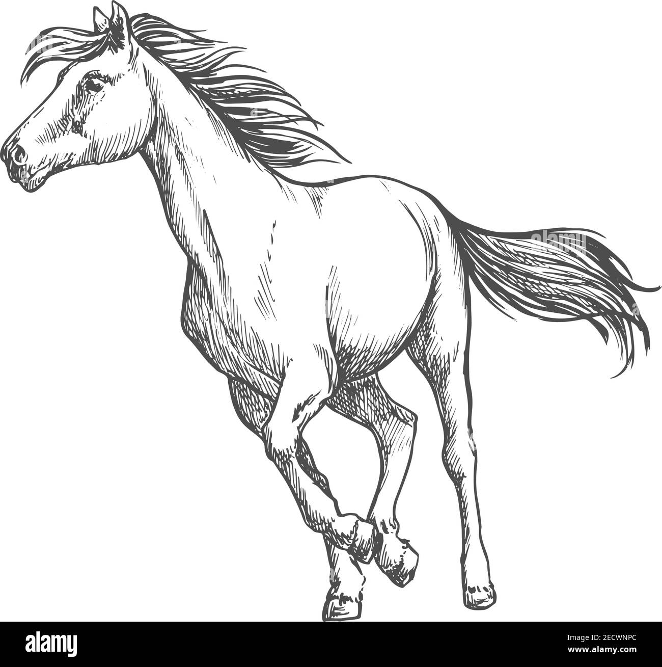 Cavallo bianco che corre liberamente. Galoppe allo stallone di mustang selvatico contro il vento con la mane e la coda sventolanti. Verticale dello schizzo con linea sottile vettoriale Illustrazione Vettoriale