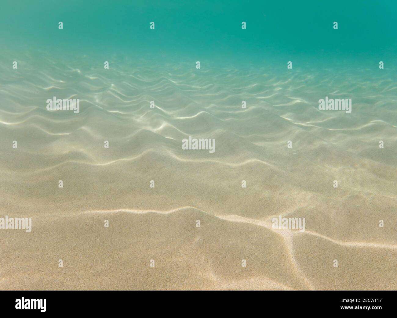 Fondo sabbioso con macchie di luce sotto acqua turchese Foto Stock