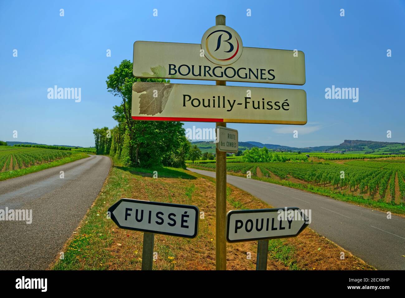 Segnaletica Pouilly-Fuissé vicino al villaggio di Pouilly, Bourgogne Franche-Compté, Francia. Foto Stock