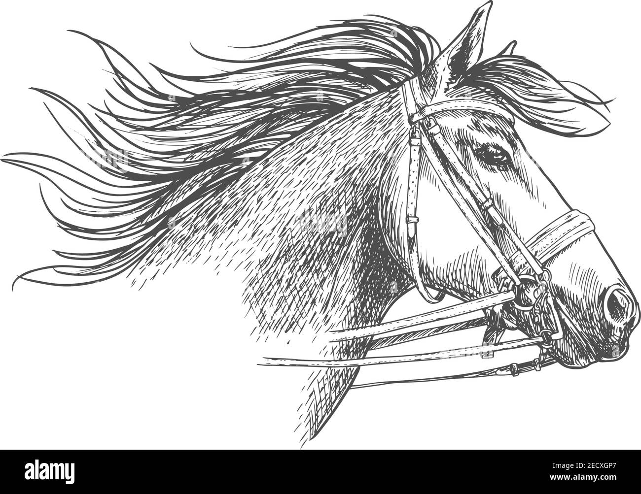 Testa di cavallo in una briglia con la punta e le redini schizzo. Corsa ippica araba con manie fluenti per ippica simbolo, gara sportiva equestre Illustrazione Vettoriale