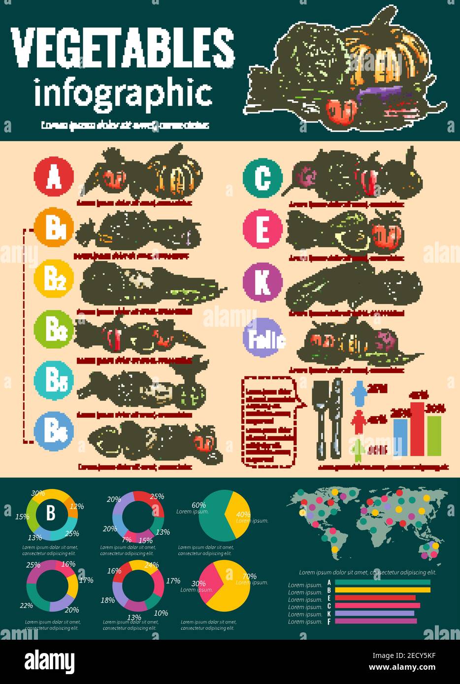 Modello di disegno infografico delle verdure con elenco delle verdure fresche e del loro contenuto di vitamina, cibo sano e suggerimenti nutrizionali di dieta, grafici di torta e. Illustrazione Vettoriale