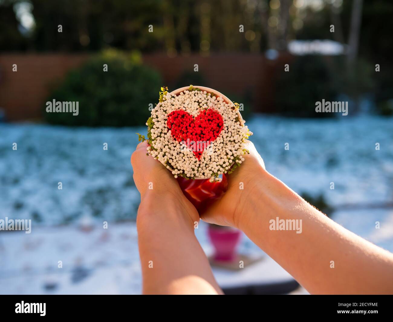 cuore rosso fatto di palle piccole in una tazza, vista dall'alto, foto in bianco e nero solo cuore rosso, simbolo, concetto di giorno di valentine. giornata del cuore del mondo, salute del mondo d Foto Stock