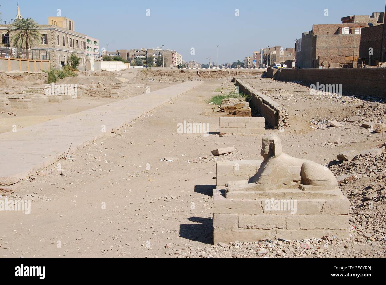 Vicolo Sphinx nel centro di Luxor in Egitto Foto Stock