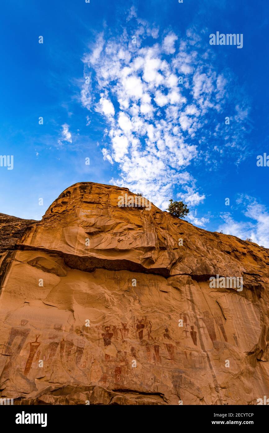 Più grandi dei pittogrammi di vita nello stile del Barrier Canyon nel Sego Canyon nello Utah, Stati Uniti Foto Stock