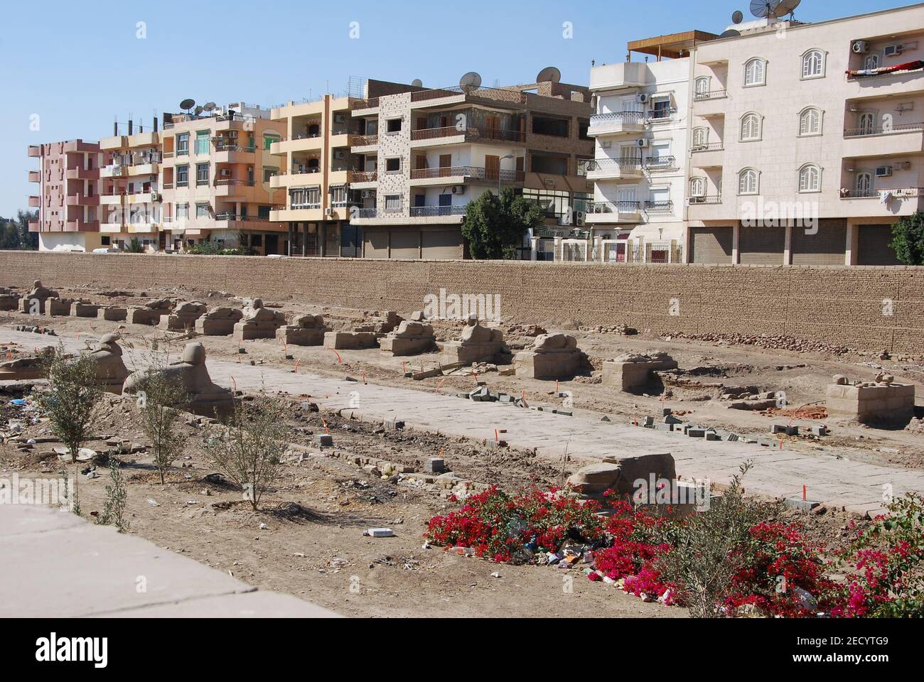Vicolo Sphinx nel centro di Luxor in Egitto Foto Stock