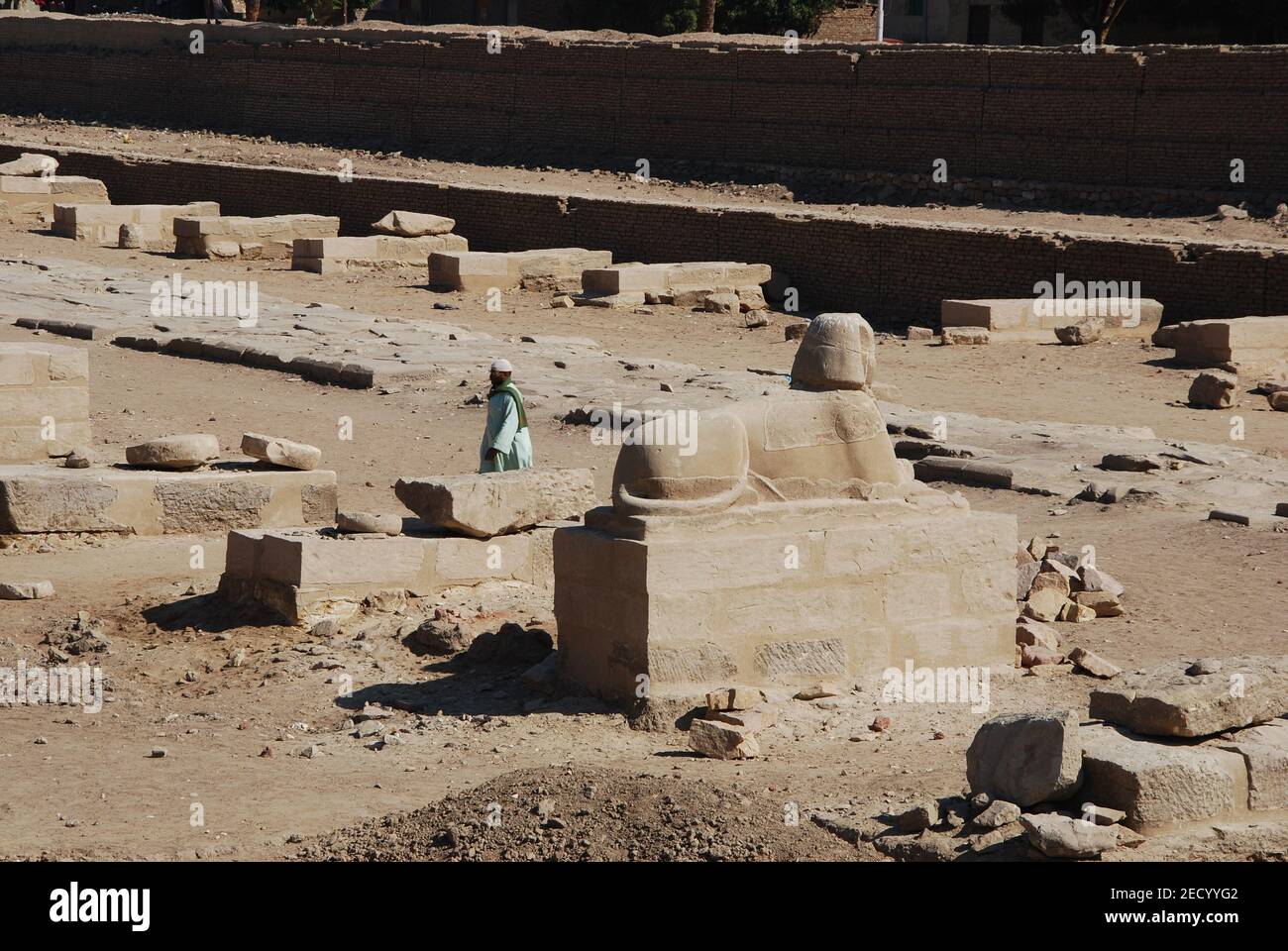 Vicolo Sphinx nel centro di Luxor in Egitto Foto Stock