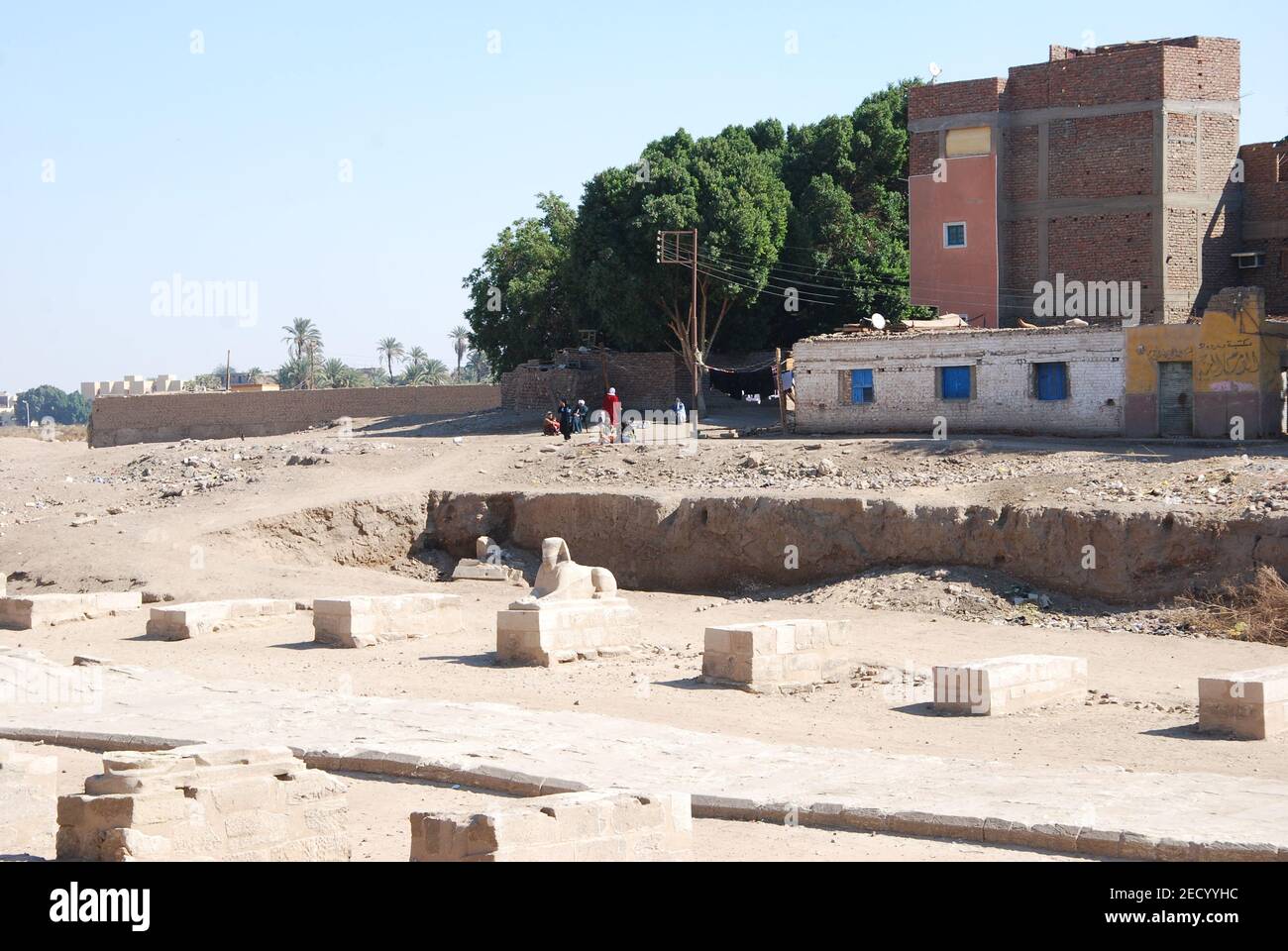 Vicolo Sphinx nel centro di Luxor in Egitto Foto Stock