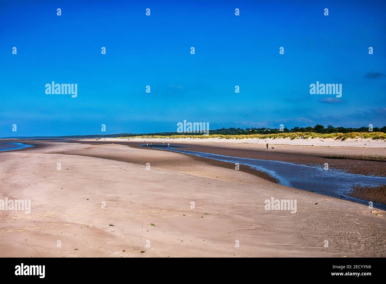 East Beach Nairn in estate, uno dei posti più soleggiati e più aridi della Scozia, Moray Firth, Highlands. Scozia Foto Stock