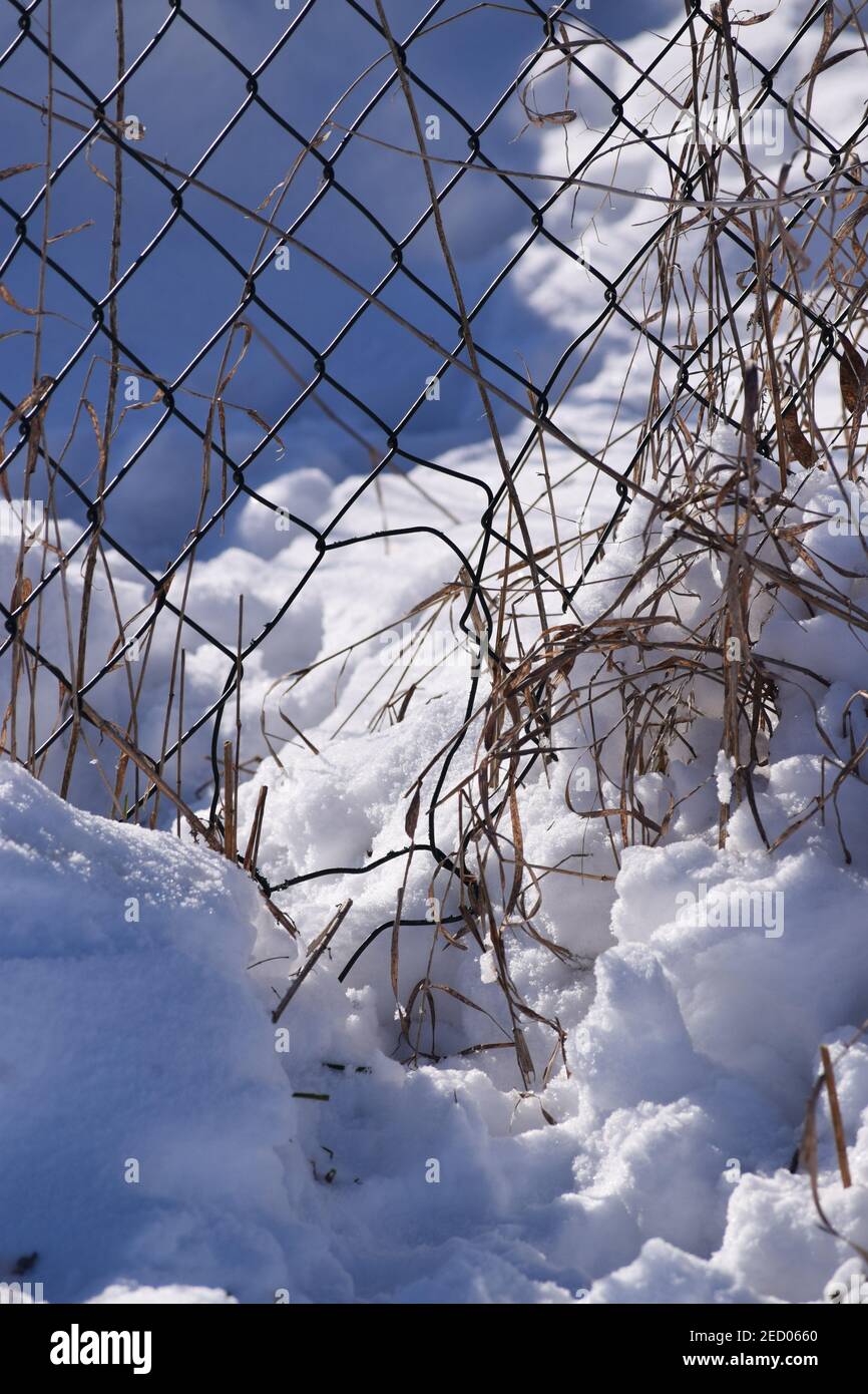 Una scappatoia ovviamente molto usata nel Fence Foto Stock