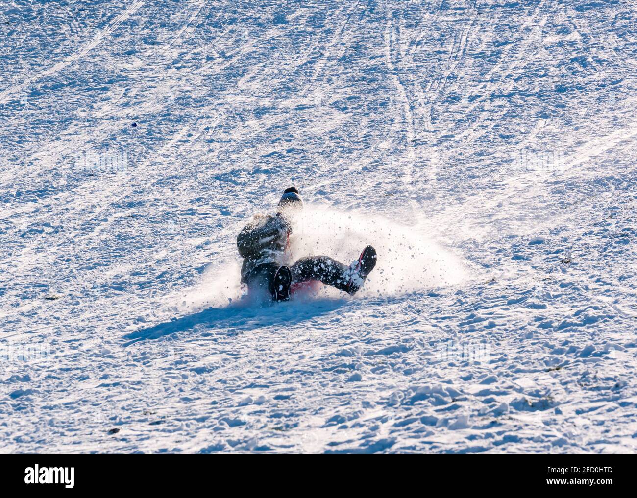 Un uomo scivola lungo una pista su una slitta su Skid Hill in inverno sole e neve, East Lothian, Scozia, Regno Unito Foto Stock