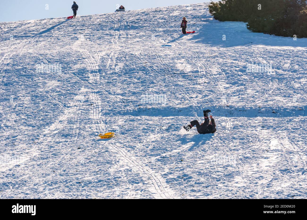 Un ragazzo cade da una slitta su Skid Hill in inverno sole e neve, East Lothian, Scozia, Regno Unito Foto Stock
