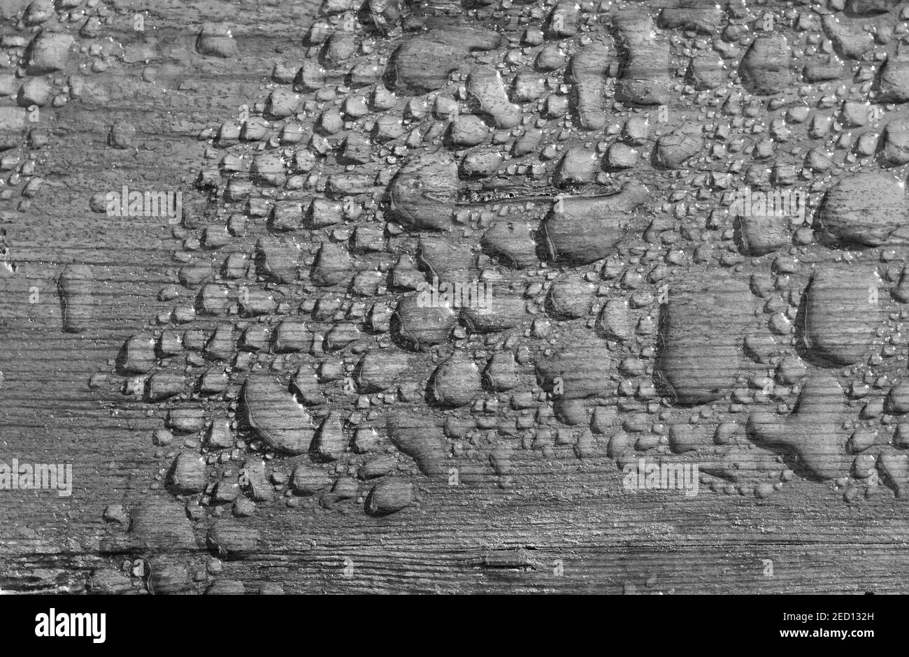 Primo piano di superficie di legno in gocce d'acqua. Legno umido. Gocce d'acqua su una tavola di legno rustis. Spazio vuoto per il testo o il design creativo. Foto Stock