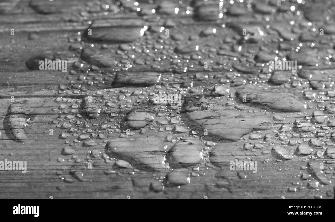 Primo piano di superficie di legno in gocce d'acqua. Legno umido. Gocce d'acqua su una tavola di legno rustis. Spazio vuoto per il testo o il design creativo. Foto Stock