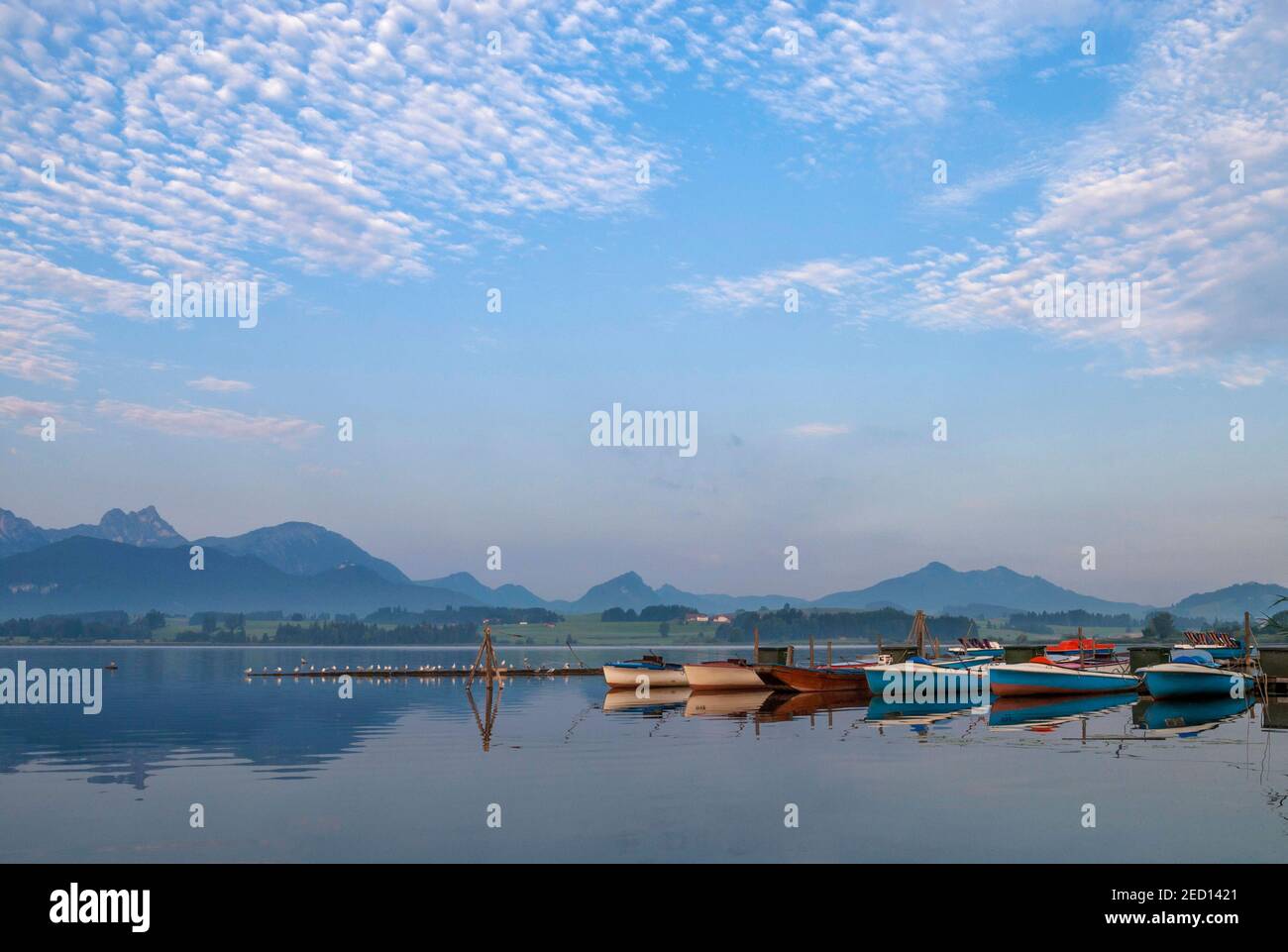 Mattina al lago Hopfensee Foto Stock