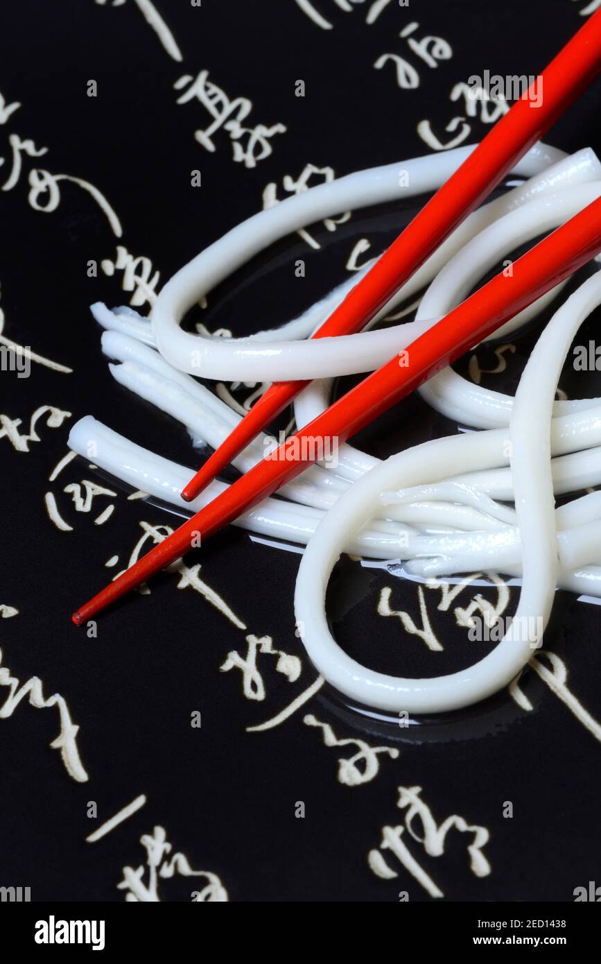 Udon, tagliatelle di grano giapponese con bastoncini in ciotola con personaggi, Germania Foto Stock