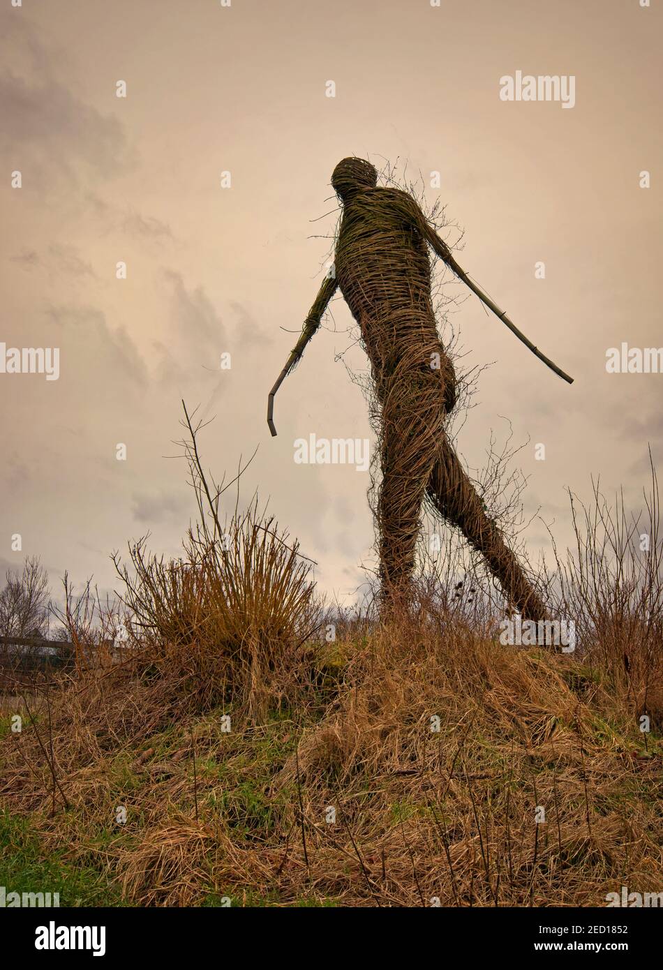 Un uomo iconico in vimini, adiacente all'autostrada M65, Burnley, Lancashire. Mostra segni di usura Foto Stock