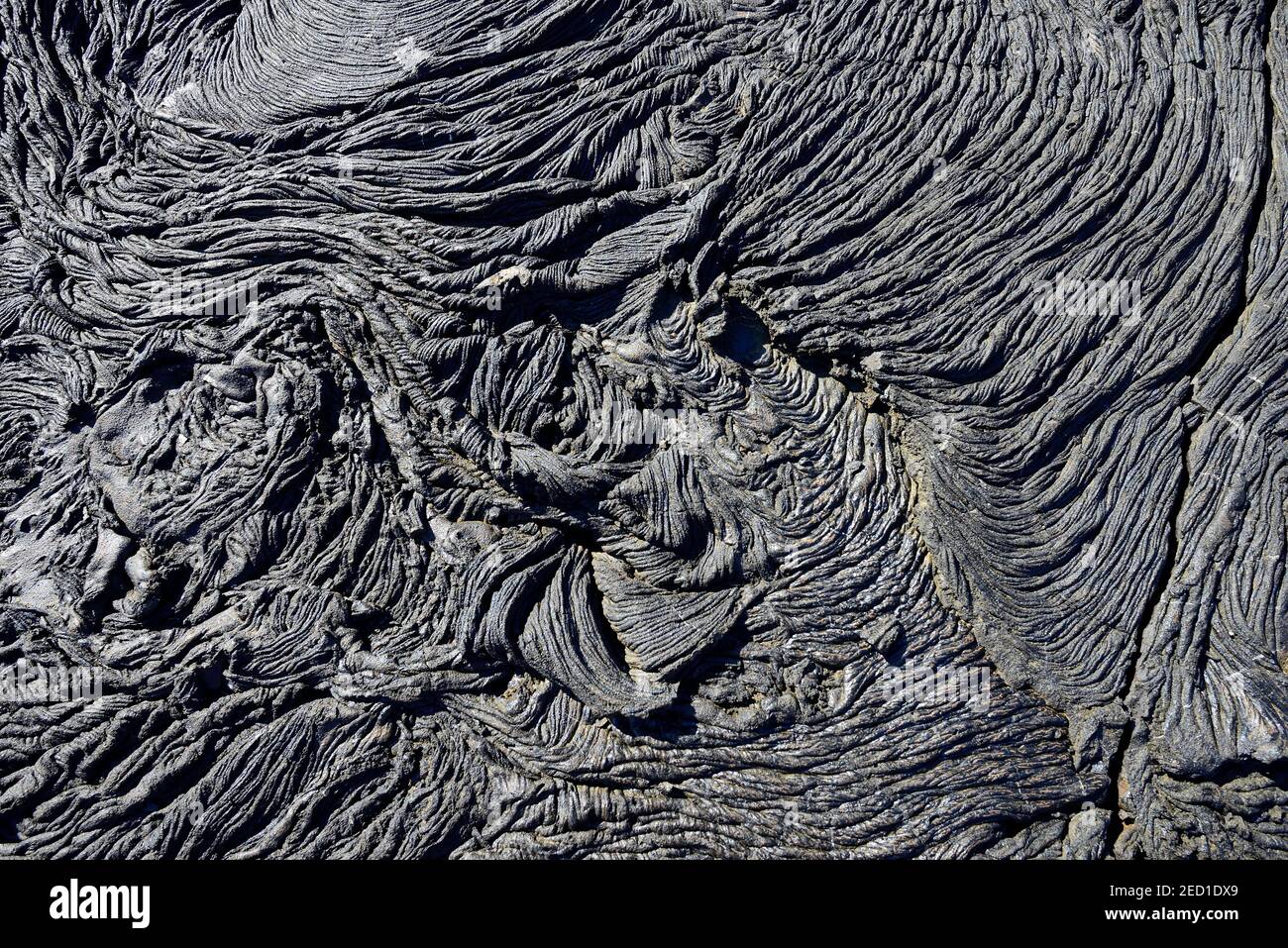 Lava a maglia o pahoehoe lava, dettaglio, Sullivan Bay, Santiago Island, Galapagos, Ecuador Foto Stock