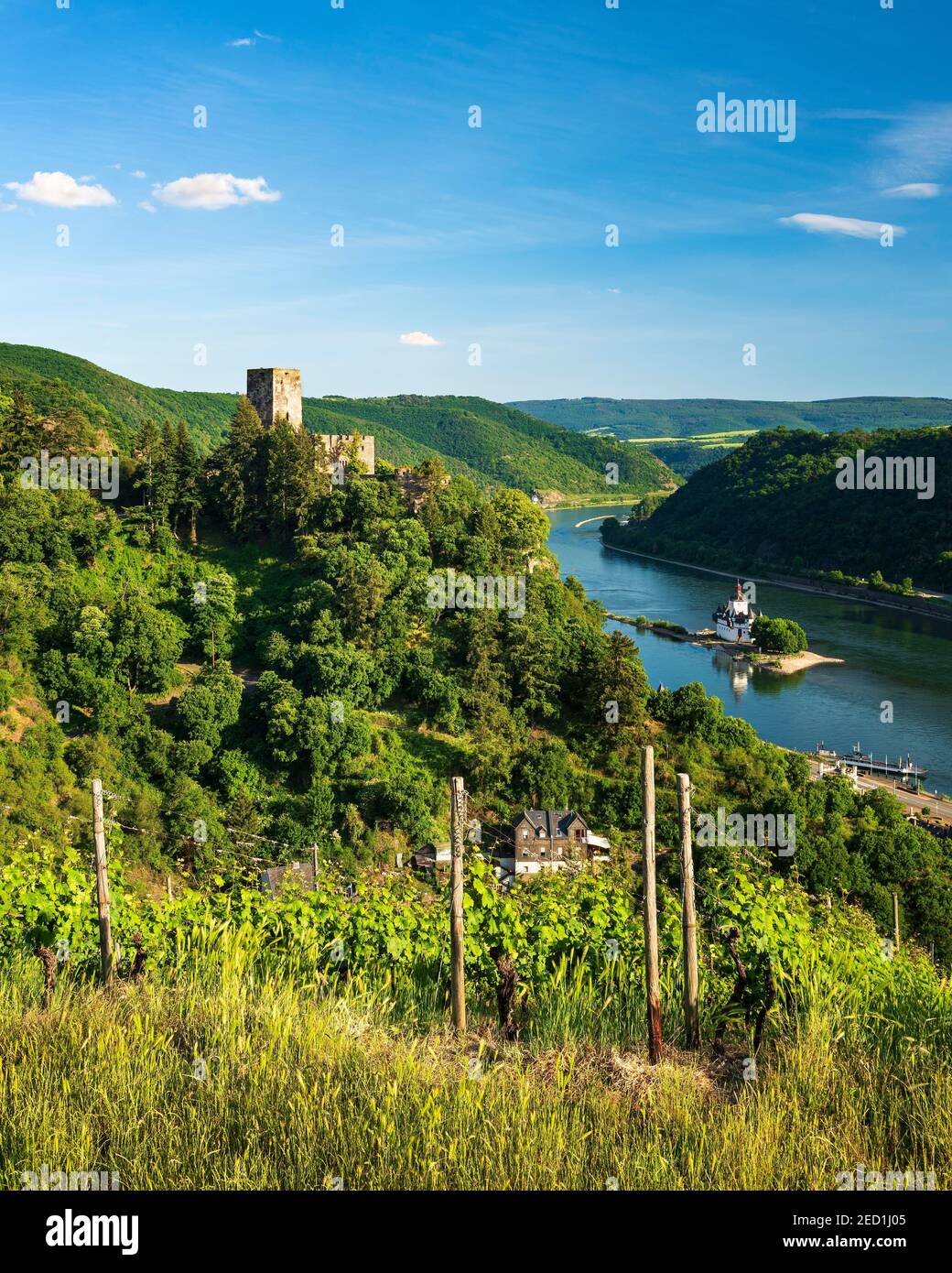 Vista del Castello di Gutenfels sul Reno, sul retro Castello di Pfalzgrafenstein, Kaub, Renania-Palatinato, Germania Foto Stock