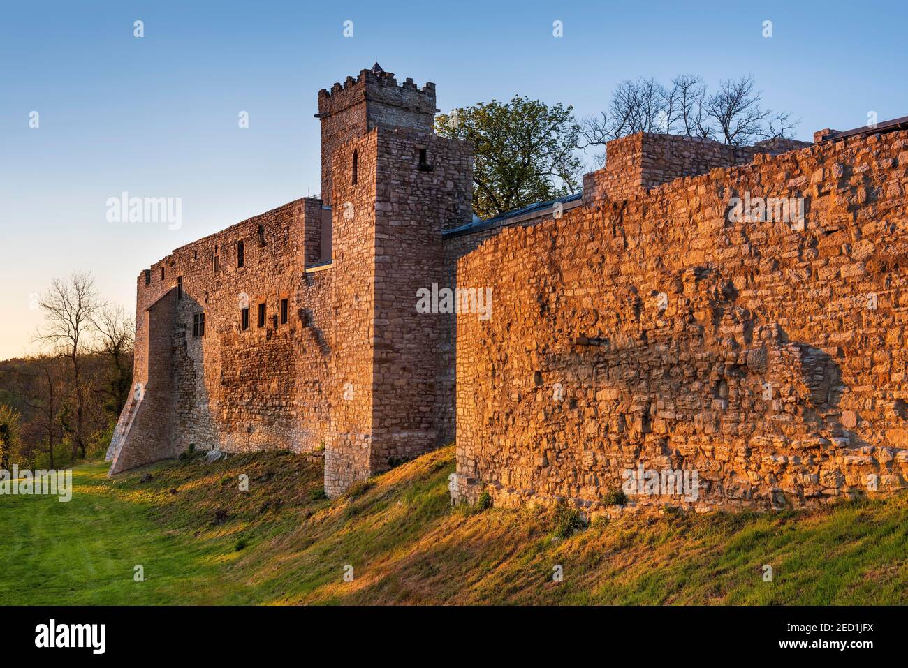 Castello di Eckartsburg nella luce dell'ultima sera, Eckartsberga, Sassonia-Anhalt, Germania Foto Stock